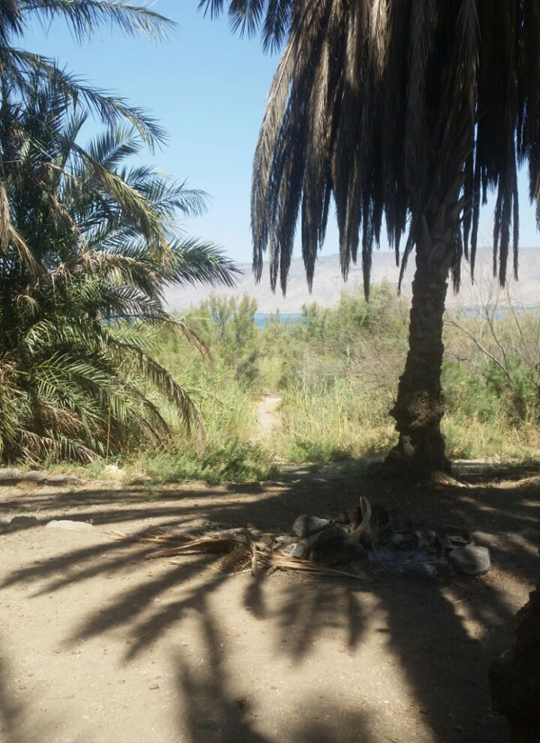 המקום של דליה