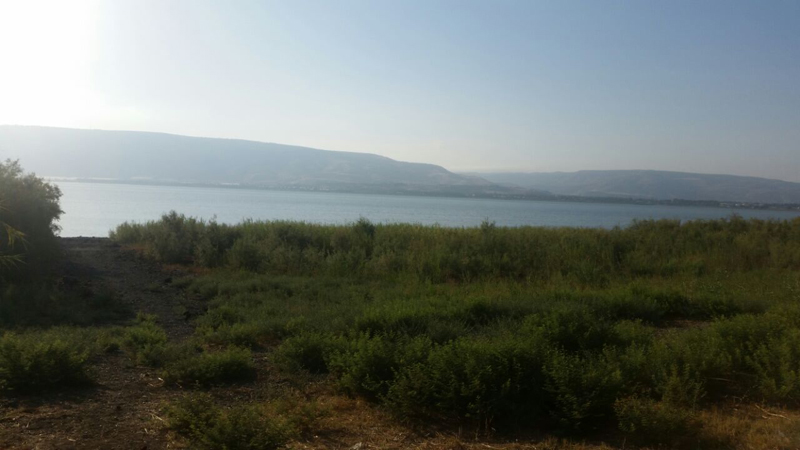 הכנרת